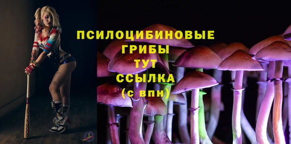 молекула духа Домодедово
