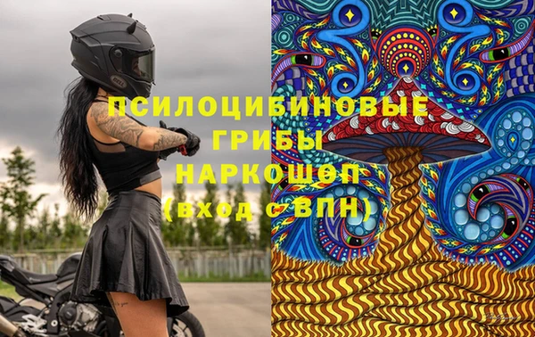 крисы Алексеевка