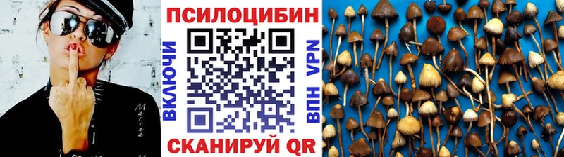 Псилоцибиновые грибы Magic Shrooms  Данков 